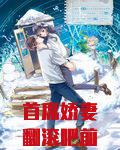 首席娇妻翻滚吧前夫