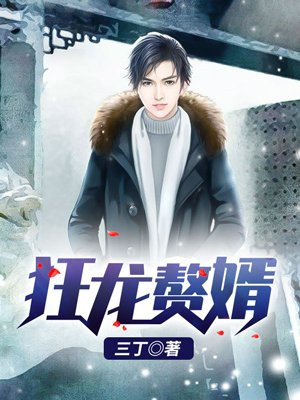 狂龙赘婿（又名：上门女婿、狂兵赘婿）