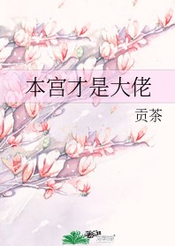 本宫才是大佬