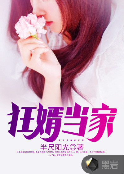 狂婿当家