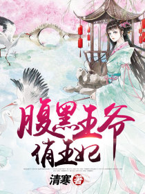 腹黑王爷俏王妃1