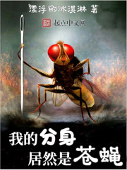 我的分身居然是苍蝇