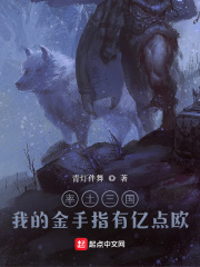 率土三国：我有一个游戏模拟器