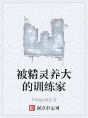 被精灵养大的训练家