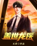 盖世龙医