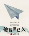江先生他蓄谋已久