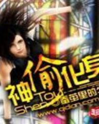 神偷化身