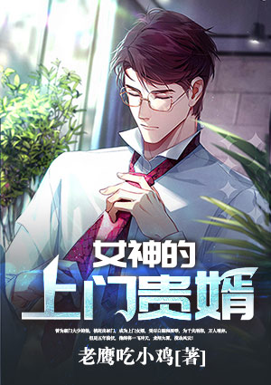 女神的上门贵婿